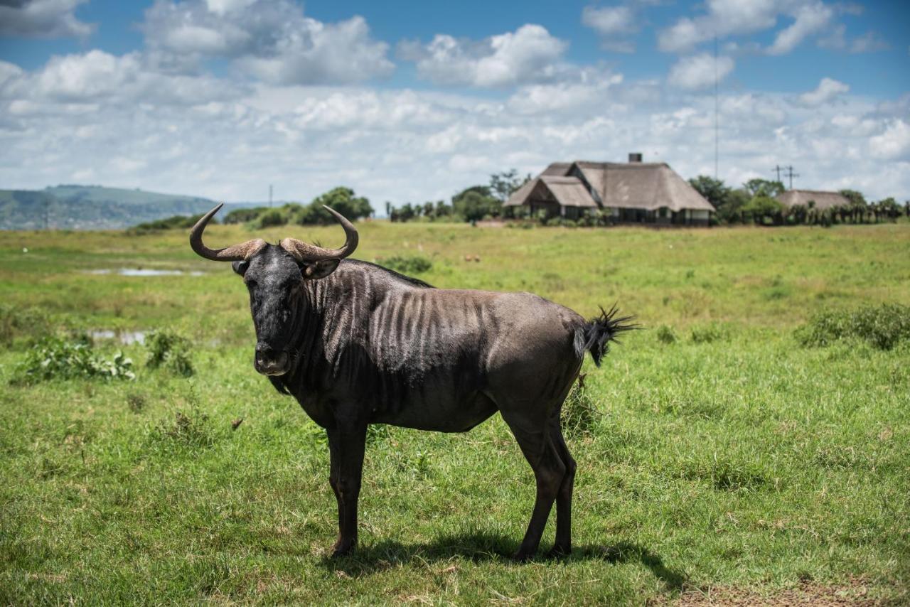 Tala Collection Game Reserve Silverton Экстерьер фото