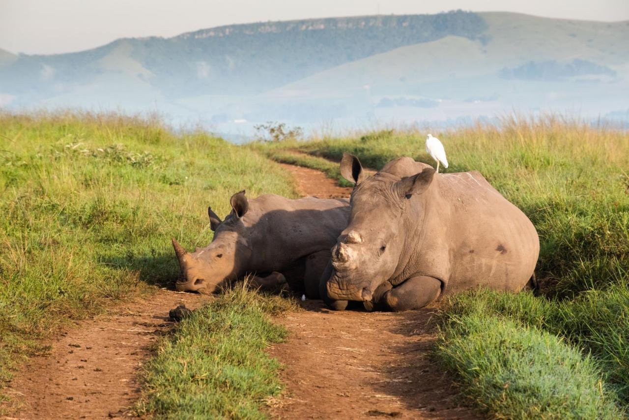 Tala Collection Game Reserve Silverton Экстерьер фото