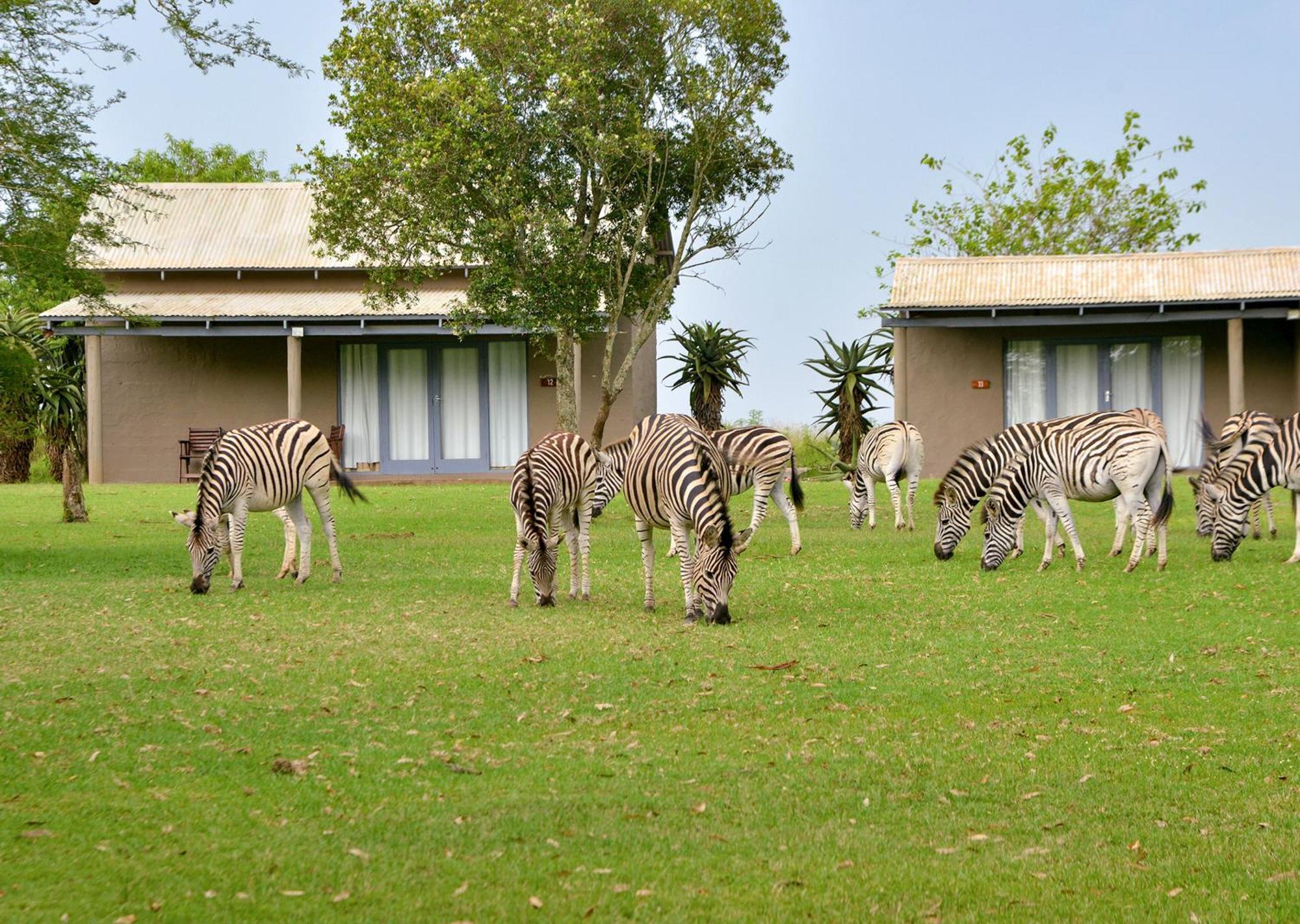 Tala Collection Game Reserve Silverton Экстерьер фото